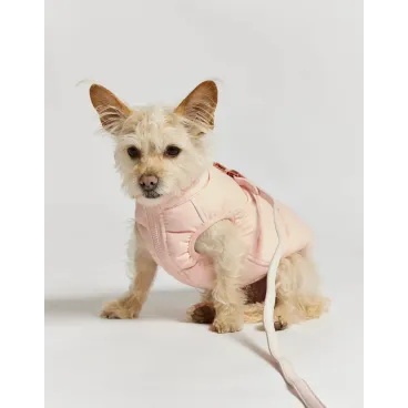 Doudoune pour Chien Réversible - Rose-Lilas - Style & Douceur