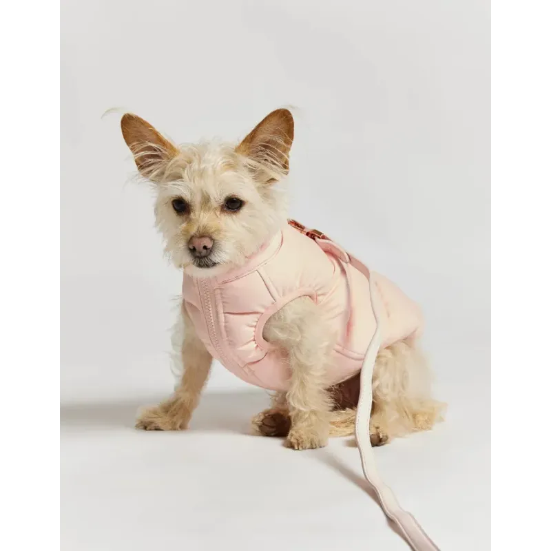 Doudoune pour Chien Réversible - Rose-Lilas - Style & Douceur Doudoune pour Chien Réversible - Rose-Lilas - Style & Douceur