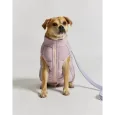 Doudoune pour Chien Réversible - Rose-Lilas - Style & Douceur Doudoune pour Chien Réversible - Rose-Lilas - Style & Douceur