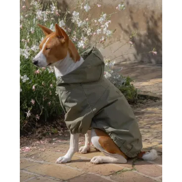 Imperméable pour chien kaki – photo en extérieur