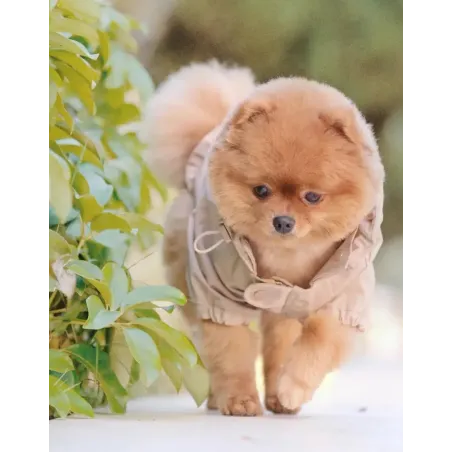Imperméable Beige pour Chien Stylé - Élégance & Confort