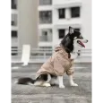 Imperméable Beige pour Chien Stylé - Élégance & Confort Imperméable Beige pour Chien Stylé - Élégance & Confort