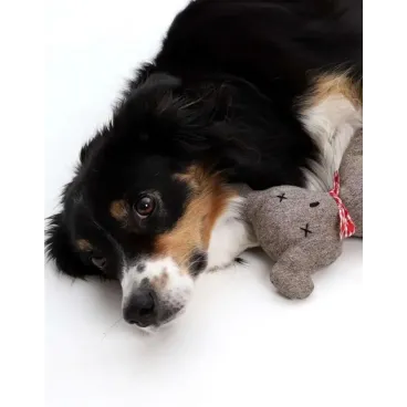 Chien dormant avec doudou orsu - Bella Concept Store Dog