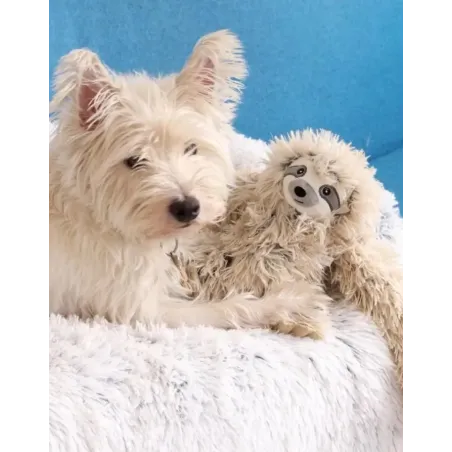 Peluche Paresseux Micalazziu en Corde pour Chien - 40 cm - Tall Tails