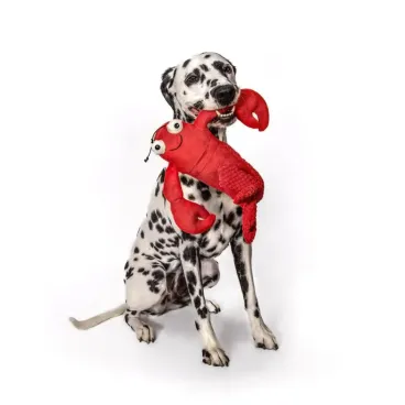 Peluche sonore chien – 2 tailles disponibles - Bella Concept Store Dog