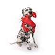 Peluche pour Chien Homard Rouge - Couineurs - Fabdog