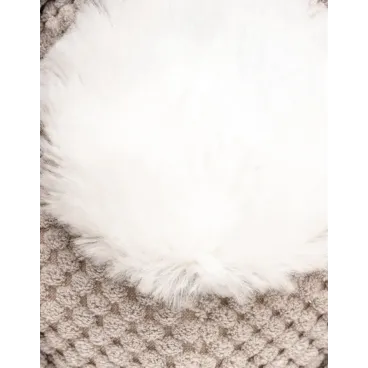 Zoom sur texture douce peluche Koala pour chien