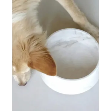 Gamelle pour Chien Marbre de Carrare Véritable - Élégance Italienne Unique