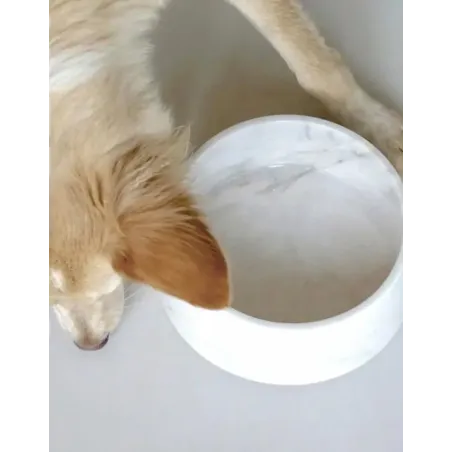 Gamelle pour Chien Marbre de Carrare Véritable - Élégance Italienne Unique
