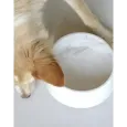 Gamelle pour Chien Marbre de Carrare Véritable - Élégance Italienne Unique Gamelle pour Chien Marbre de Carrare Véritable - Élégance Italienne Unique