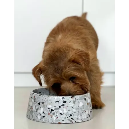 Gamelle en pierre naturelle Terrazzo pour chien - Stable, élégante & durable