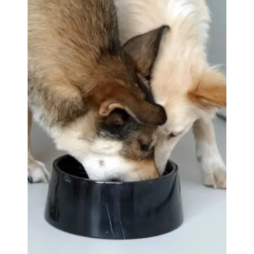 Gamelle en Marbre Noir pour Chien & Chat - Design Luxueux & Intemporel