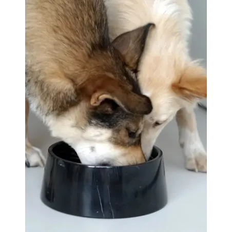 Gamelle en Marbre Noir pour Chien & Chat - Design Luxueux & Intemporel