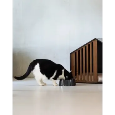 accessoire de repas haut de gamme pour chien ou chat