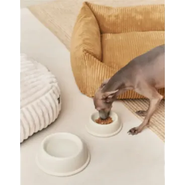 Gamelle blanche – Photo en situation avec gamelle rose