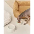Gamelle design pour chien en Céramique blanche - Cafide