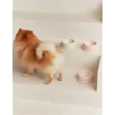 Gamelle Rose en Céramique pour Chien & Chat - Élégance Douce & Éco-responsable