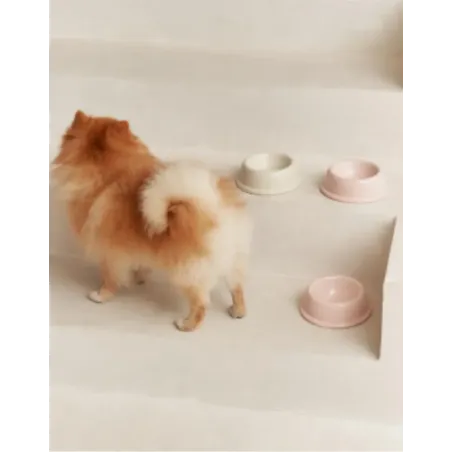 Gamelle Rose en Céramique pour Chien & Chat - Élégance Douce & Éco-responsable