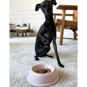 Gamelle rose antidérapante – bol céramique pour chien stylé