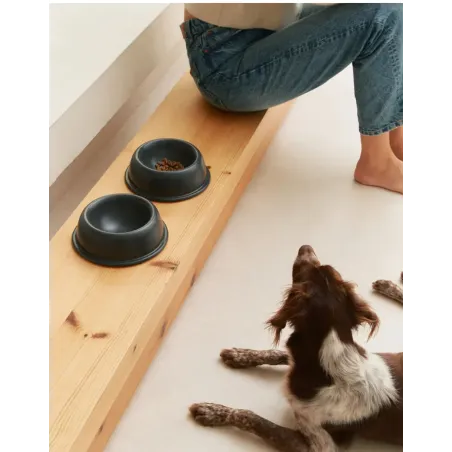 Gamelle céramique noire pour chien & chat - Design Cafide