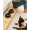 Gamelle Céramique Noire pour Chien - Élégance & Design Moderne