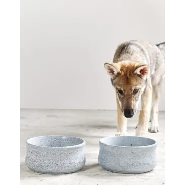 Gamelle Rocky en Stéatite Naturelle - LABONI - Design Haut de Gamme pour Chien & Chat
