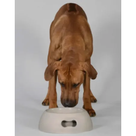 Gamelle Pappy United Pets pour Chien - Écologique & Design