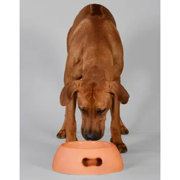 gamelle-chien-design-moderne-orange-luxe