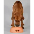 Gamelle pour chien design orange - Antidérapante & écologique Gamelle pour chien design orange - Antidérapante & écologique