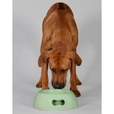 Gamelle Pappy Verde United Pets - Écologique & Design Italien