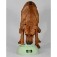 Gamelle Pappy Verde United Pets - Écologique & Design Italien