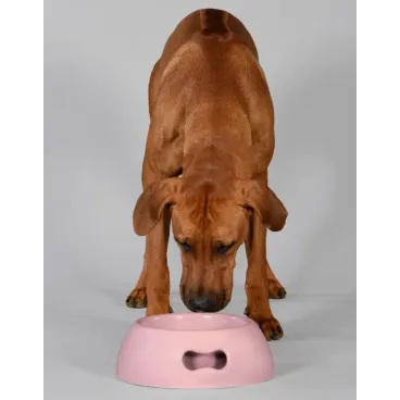 Gamelle Pappy Rose pour Chien - United Pets - Écologique & Ludique