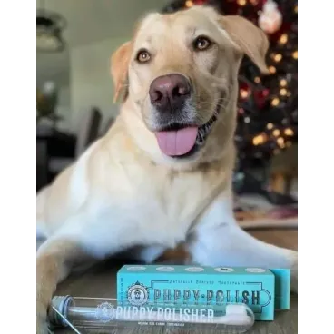 Dentifrice Naturel pour Chien et Chiot - Goût Volaille - Wag & Bright