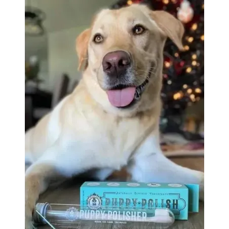 Dentifrice Naturel pour Chien et Chiot - Goût Volaille - Wag & Bright