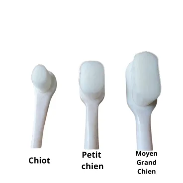 brosse à dents biodégradable pou chiot