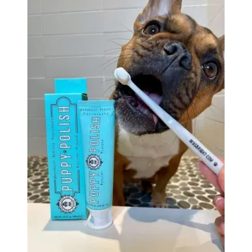 Brosse à Dents Écologique pour Chien & Chiot - Wag & Bright - Hygiène Naturelle & Douce