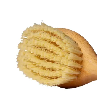 Zoom sur la prise en main – Brosse ergonomique