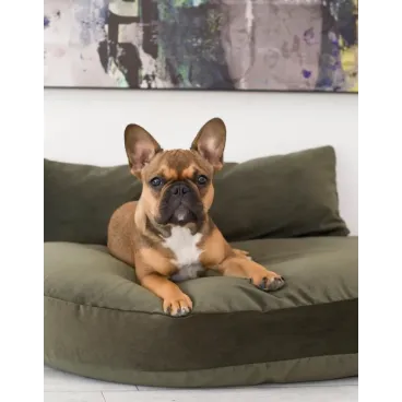 Coussin pour chien design Luna lounge Oxford olive - Laboni