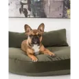 Coussin pour chien design Luna lounge Oxford olive - Laboni Coussin pour chien design Luna lounge Oxford olive - Laboni