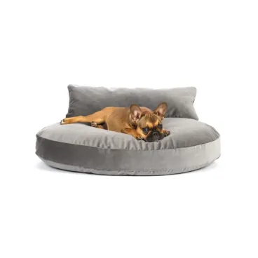 Chien sur lit design Laboni Luna Lounge velours gris - Vue de face