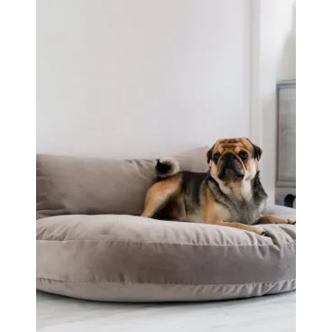 Couchage gris minéral pour chien – Velours Oeko-Tex