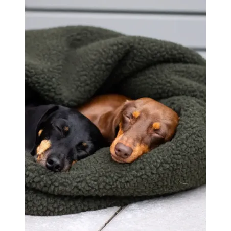 Gigoteuse pour Chien Teddy - 75x75 cm - Cocoon Douillet