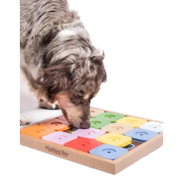 jeu-occupation-chien-anti-ennui-bella-concept-store-dog