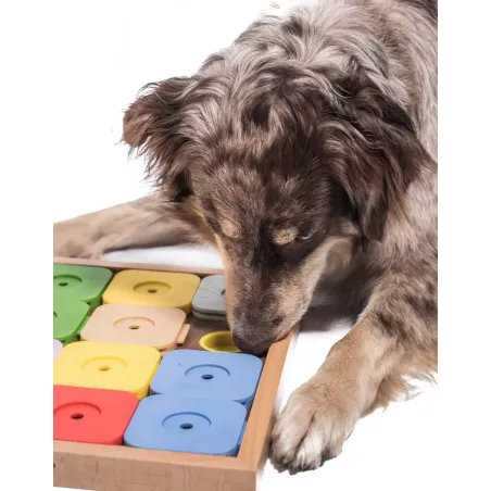 Dog SUDOKU pour Chien - Jeu Éducatif & Interactif - My Intelligent Pets