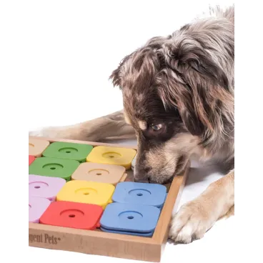 Chien utilisant le Dog SUDOKU pour trouver des friandises – My Intelligent Pets