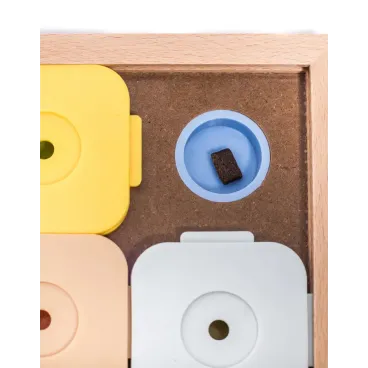 jeu-educatif-chien-stimulation-mentale