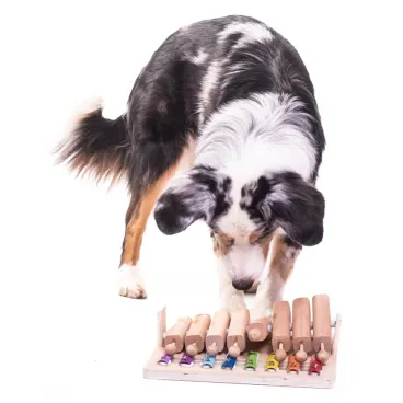 Chien jouant avec un piano éducatif en bois – Jouet interactif My Intelligent Pets