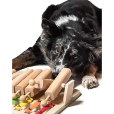 Jouet intelligent pour chien – Piano en bois avec tubes à friandises