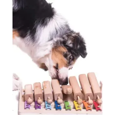 Piano éducatif en bois pour chien – Vue des tubes et cache-friandises