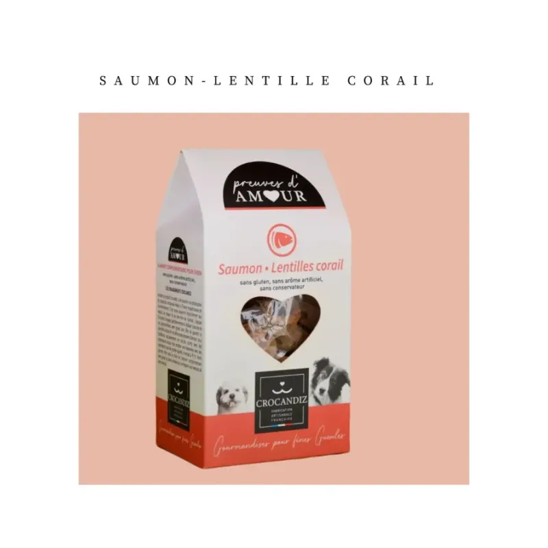 Biscuits Naturels pour Chien au Saumon & Lentilles Corail - Sans Gluten - Crocandiz